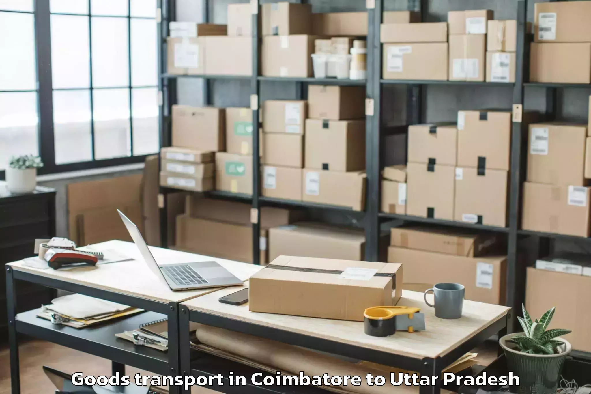 Trusted Coimbatore to Patti Pratapgarh Goods Transport